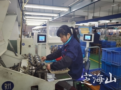 加速智能转型，赋能未来 家电零配件销售在产业升级中的新机遇